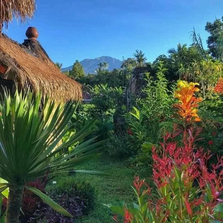 Satu Lingkung Hotel Tetebatu Værelse billede